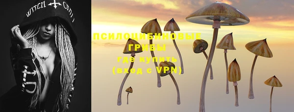 СК Богданович