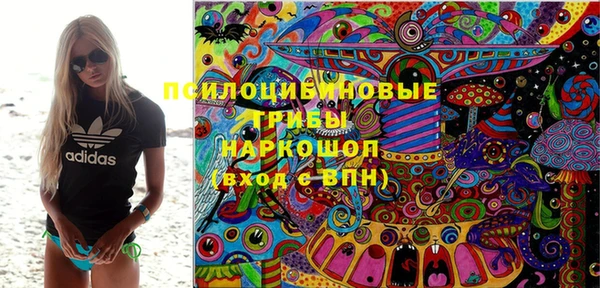 spice Богородск