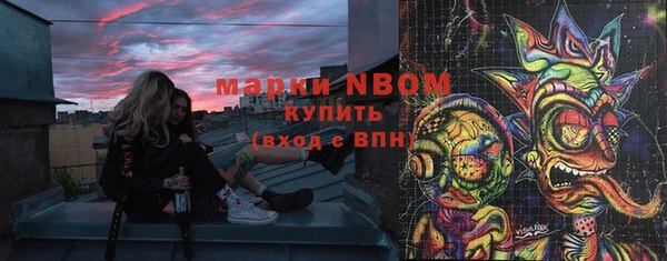 spice Богородск
