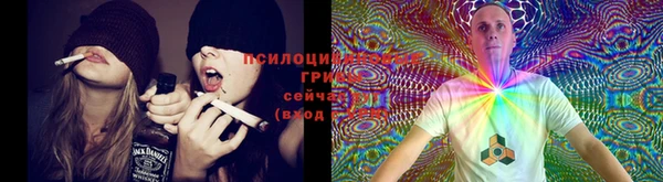 СК Богданович